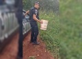 Una culebra apareció en una escuela de Oberá y fue rescatada por la Policía