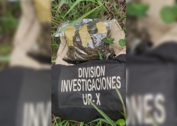 Abandonaron droga al huir de la Policía en Garupá: incautaron casi medio kilo de marihuana
