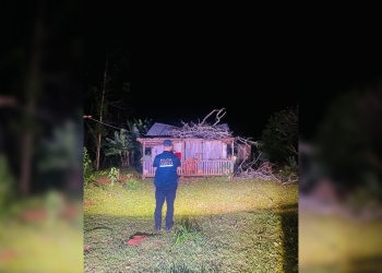 Tragedia en Misiones: una beba murió tras ser golpeada por la caída de un árbol durante el temporal