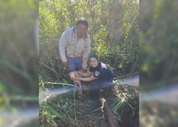 Rescate a contrarreloj en Campo Viera: hallan a “Pitoca” tras cuatro días atrapada en un pozo de 11 metros