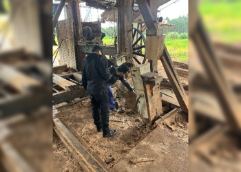 Detuvieron a un hombre de 40 años acusado de robar y quemar cables de un aserradero en Garuhapé