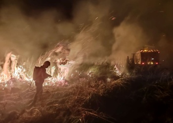 Incendios en malezales y un predio abandonado movilizaron a bomberos