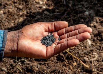Microplásticos en suelos: desarrollan método de detección con más del 92% de precisión