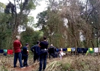 “Desalojo encubierto”, territorios ancestrales y tensión forestal: trasfondo del conflicto mbya en Garuhapé