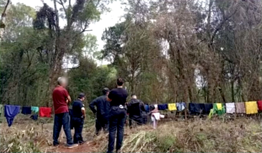 “Desalojo encubierto”, territorios ancestrales y tensión forestal: trasfondo del conflicto mbya en Garuhapé