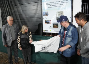 Más infraestructura para la piscicultura: Apóstoles habilitó sala de faena