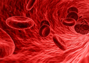 Cánceres de la sangre: advierten que aumentan los casos, pero también mejoran los tratamientos y la sobrevida