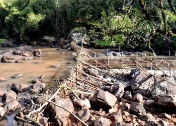 Destruyeron trampas ilegales de pesca en un arroyo de Campo Ramón
