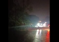 Temporal causó caída de árboles y cortes de luz en Posadas