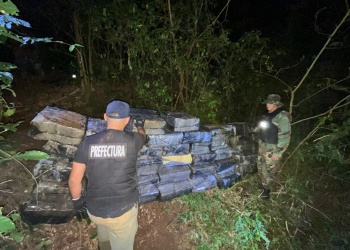Golpe al narcotráfico en la costa del Paraná: incautaron más de una tonelada de droga en Puerto Rico