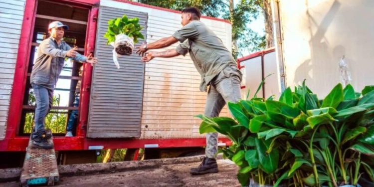 ALTA CALIDAD. El organismo busca potenciar la fruticultura nacional.