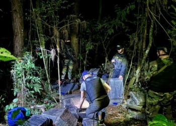 Incautaron más de 600 kilos de marihuana en un operativo realizado a orillas del río Paraná