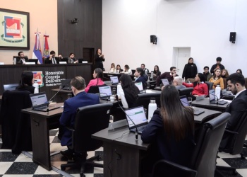 Ingresó al Concejo una iniciativa para mejorar la gestión del arbolado urbano