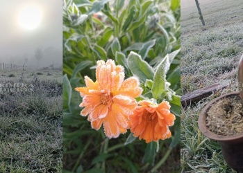 Miércoles con temperaturas cercanas a 0°C en el norte misionero
