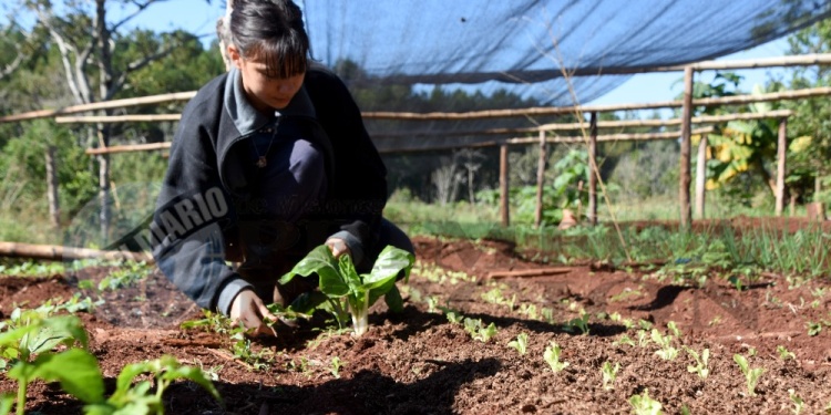 PARA LOS QUE VIENEN. En contraturno de la escuela, las hijas del productor se involucran desde temprana edad, conocen bien el suelo y cómo mejorarlo. Una cátedra que solo da la chacra.