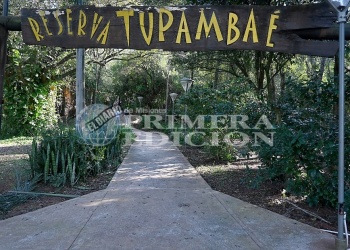 Apóstoles: Reserva TupaMbae invita a descubrir el alma de la yerba mate en una experiencia sensorial