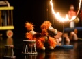 Teatro Colibrí se despide con “El pequeño gran circo de mundo”