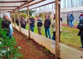 Capacitan a familias productoras y entregan insumos para impulsar la diversificación productiva