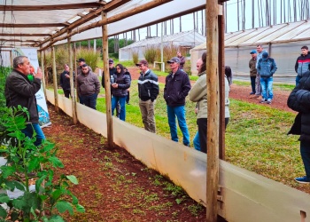 Capacitan a familias productoras y entregan insumos para impulsar la diversificación productiva