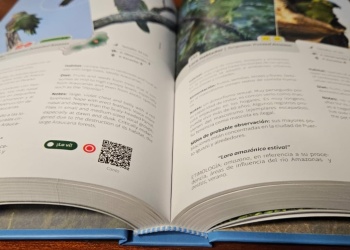 Aves de Misiones: una obra reúne décadas de observación y registros de la selva