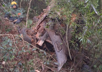 Tragedia en Bonpland: un conductor murió tras despistar y chocar contra árboles