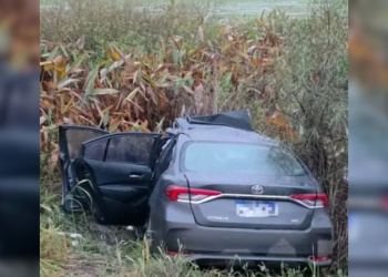 Hallaron 183 millones de pesos tras un siniestro vial