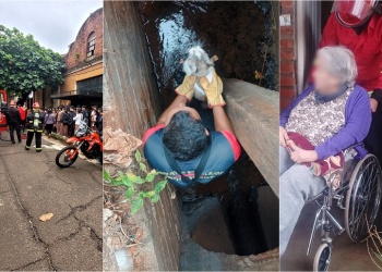 Bomberos asistieron a vecinos, rescataron mascotas y combatieron un incendio en Posadas