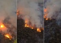 Un incendio forestal arrasó unas 200 hectáreas en Cafayate y declararon la emergencia ambiental