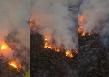 Un incendio forestal arrasó unas 200 hectáreas en Cafayate y declararon la emergencia ambiental