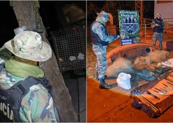 Desmantelaron un campamento de caza furtiva y hallaron restos de fauna protegida