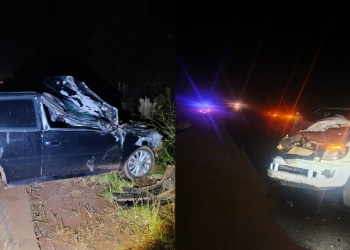 Otros dos caballos fueron atropellados en las rutas y hay tres lesionados