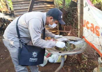 Doce de cada 100 viviendas de Posadas concentran criaderos de aedes aegypti
