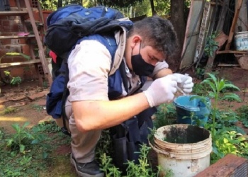 Doce de cada 100 viviendas de Posadas concentran criaderos de aedes aegypti