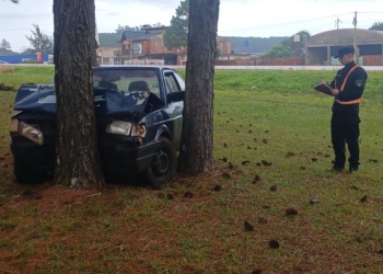 Despistó con su auto y chocó contra un pino en la ruta nacional 14