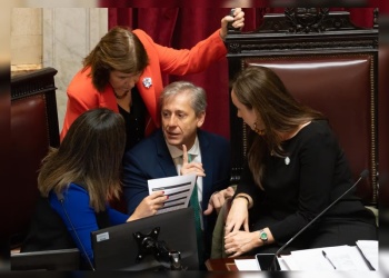Senado: con apoyo del peronismo y dialoguistas se aprobó el pliego de Verónica Michelli pese al veto del Gobierno