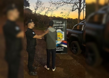 Una mujer denunció que su ex le robó la frazada de tigre: la Policía la recuperó y lo detuvo