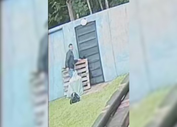 Detuvieron a un hombre de 29 años por el robo de elementos en un quincho de Posadas