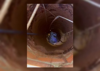 Rescataron a una perra que cayó a un pozo de más de 20 metros en Eldorado