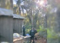 Murió un trabajador al ser golpeado por una rama mientras realizaba tareas de poda en El Soberbio