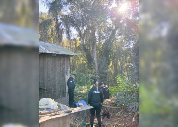 Murió un trabajador al ser golpeado por una rama mientras realizaba tareas de poda en El Soberbio