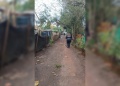 Acusan a un hombre de dispararle con un rifle de aire comprimido al perro de una vecina en Posadas
