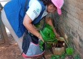 Dolores Sur, San Isidro y A-4 con índices aédicos que triplican el valor de riesgo