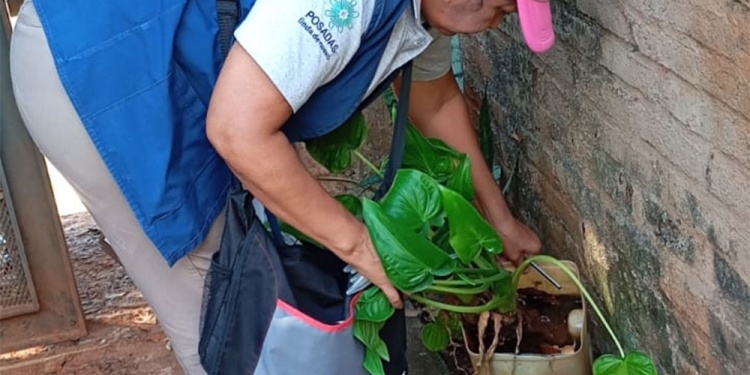 EN EL PATIO. Las planteras y los baldes representan uno de los principales criaderos de mosquitos.