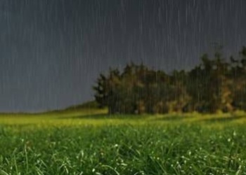 Alerta en el agro misionero ante la llegada de un fenómeno de El Niño “muy intenso”