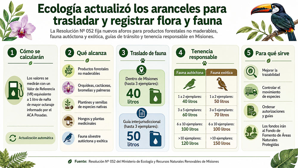 Ecología actualizó aranceles para trasladar y registrar flora y fauna en Misiones