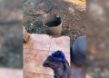 Iguazú: niño de 1 año murió ahogado dentro de un tambor con agua en su vivienda