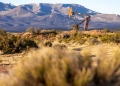 RIGI: Misiones no  recibe inversiones, pero paga el costo de los beneficios fiscales