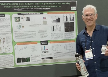 Avanzan las investigaciones sobre la yerba mate y su potencial contra el Parkinson