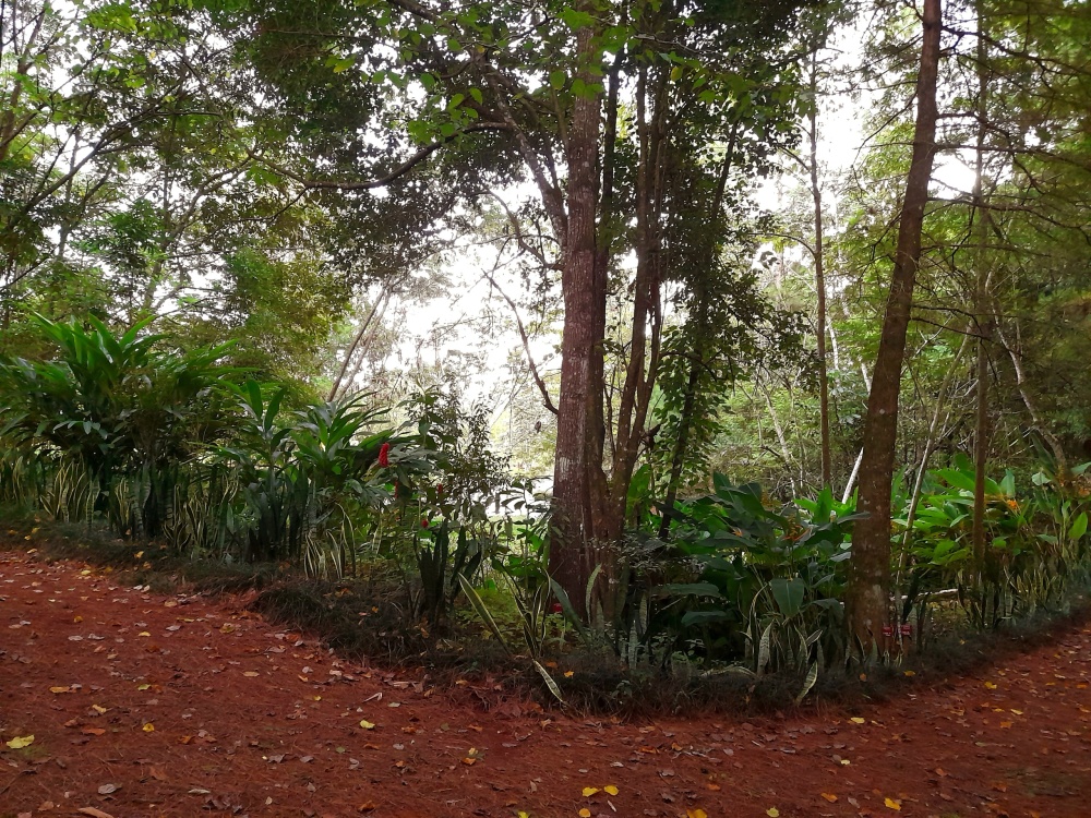 El Parque Roberto Münz es un tributo a la vida y un legado para el pueblo
