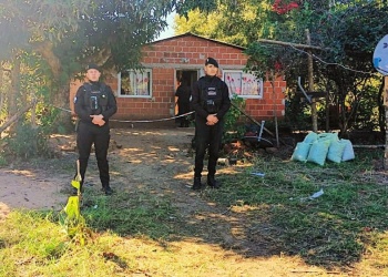 El lunes analizarán la inimputabilidad de la detenida por la muerte de Ilan